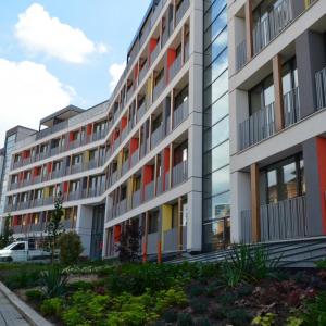 Сграда Анима