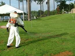 Снимка  от Николай Спасов