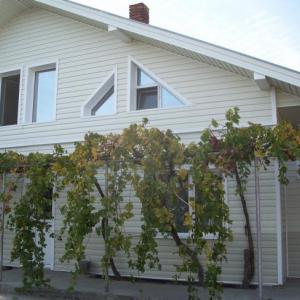 Снимка  от Стоил Иванов