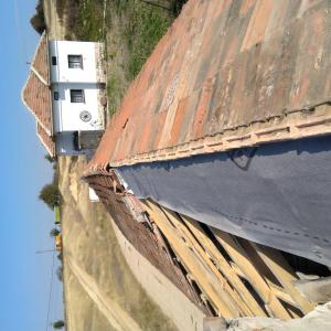 Цялостно възстановяване