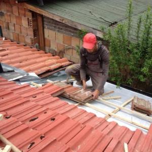 Снимка  от Артин Величков