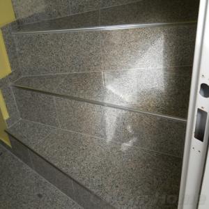 Снимка  от Асан Лешков