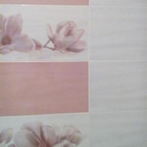 Снимка  от Антон Проданов