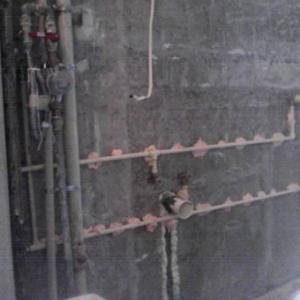 Снимка  от krasimir mihailov