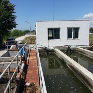 Снимка  от Стефан Ангелов