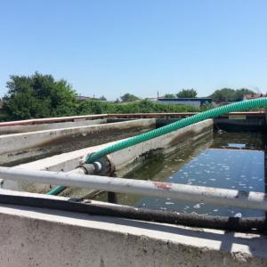 Снимка  от Стефан Ангелов