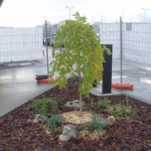 Снимка  от Румена Воденичарова