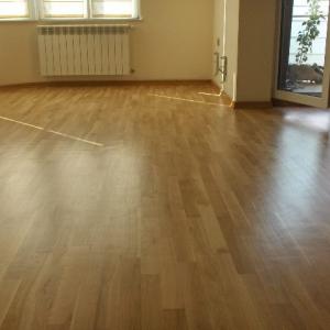 Снимка  от krasimir mihailov