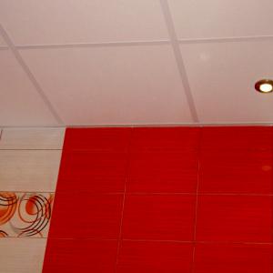 Снимка  от Димитър Стефанов