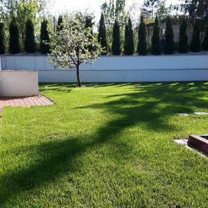 Двор горно ниво югозапад