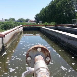 Снимка  от Стефан Ангелов