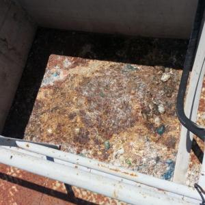 Снимка  от Стефан Ангелов