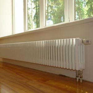 Снимка  от Маргарита Райкова