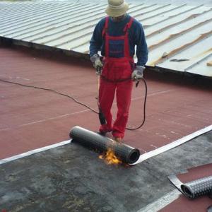 Снимка  от valeri yordanov