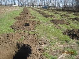 Снимка  от МИРОСЛАВ ФРАНЦ