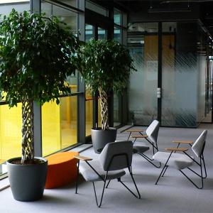 Озеленяване на офиси