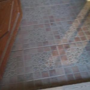 Снимка  от Димитър Димитров