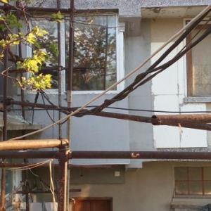 Снимка  от Димитър Димитров