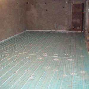 Снимка  от Никола Николов