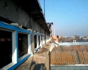 Снимка  от Ангел Рабухчиев