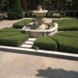 Снимка  от Мистър Грийн Mr.Green