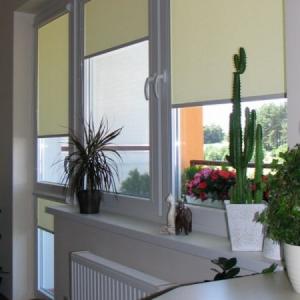 Снимка  от Елена Чакърова