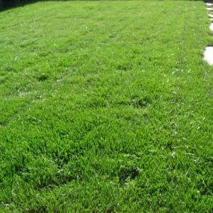 Снимка  от Васил Александров