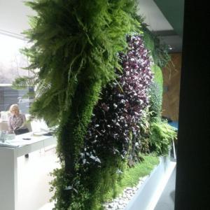 Снимка  от Мистър Грийн Mr.Green