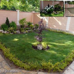 Снимка  от Мартин Варсано