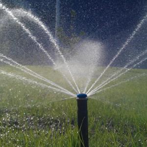 Снимка  от Витан Николов