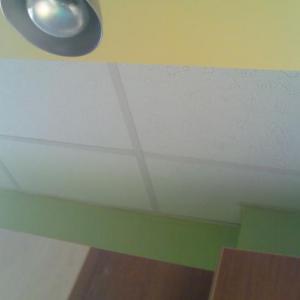 Снимка  от Антон Антонов