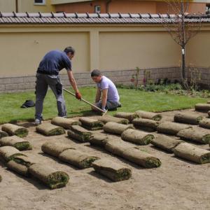 Снимка  от Витан Николов