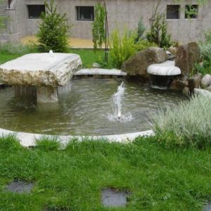 Снимка  от Мистър Грийн Mr.Green