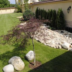 Снимка  от Витан Николов