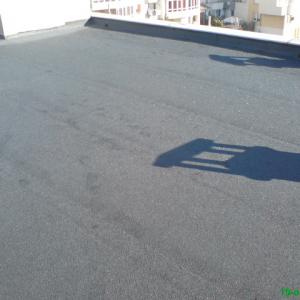 Снимка  от Георги Ефремов