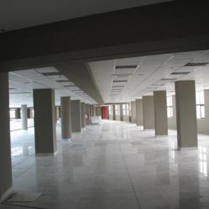 Снимка  от Мирослав Михайлов