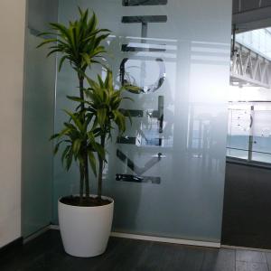 Озеленяване на офиси