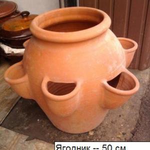 Снимка  от Павлин Христов