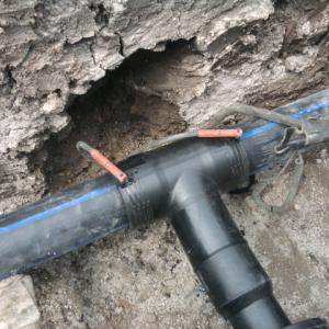 Снимка  от Радосвет Иванов