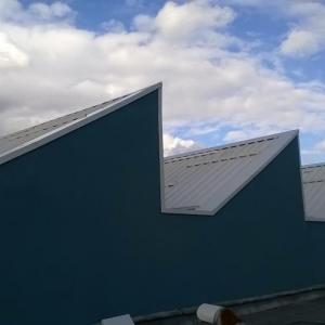 Снимка  от Ст. Илиев