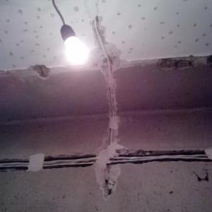 Снимка  от Боян Пършоров