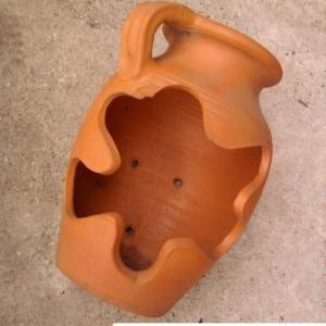 Снимка  от Павлин Христов