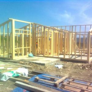 Снимка  от Илиян Кралев