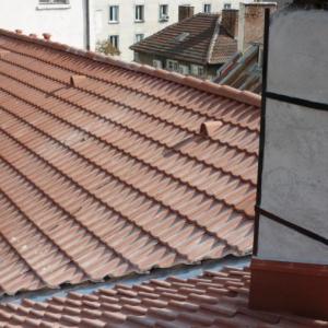 Снимка  от Камен Котов