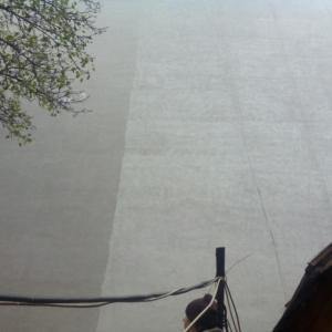 Снимка  от Димитър Лазаров