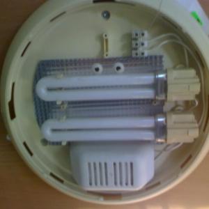 Снимка  от Лазар Попадийн