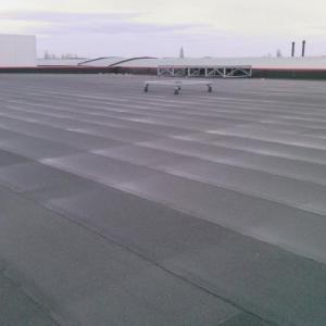 Снимка  от Благой Благоев