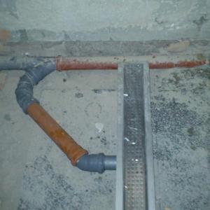 Снимка  от Ясен Божков