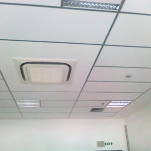 Снимка  от Никола Милчев