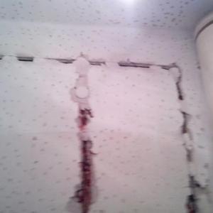 Снимка  от Боян Пършоров